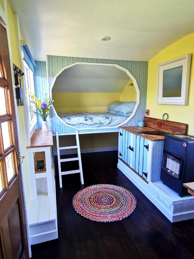 Bluebell Off-Grid Van นิวตันสจวร์ต ภายนอก รูปภาพ