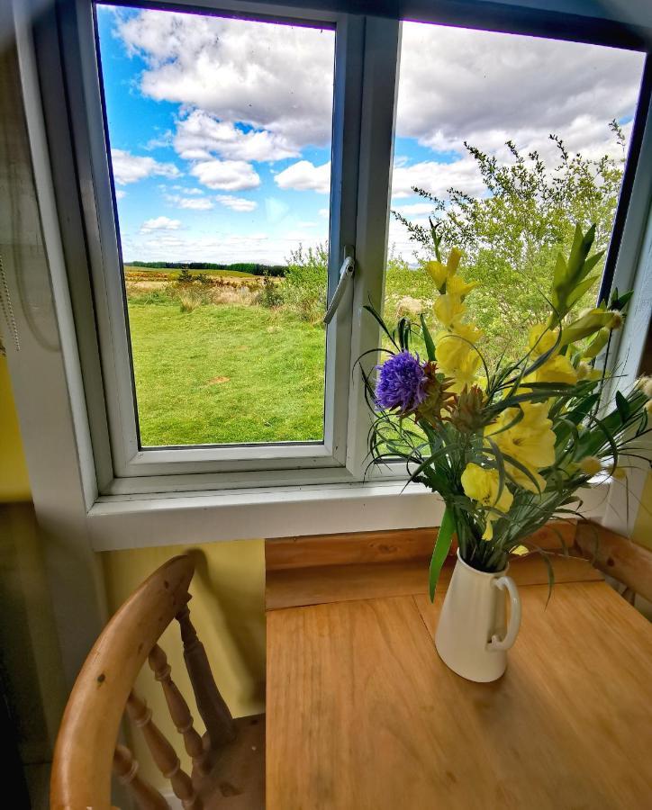 Bluebell Off-Grid Van นิวตันสจวร์ต ภายนอก รูปภาพ