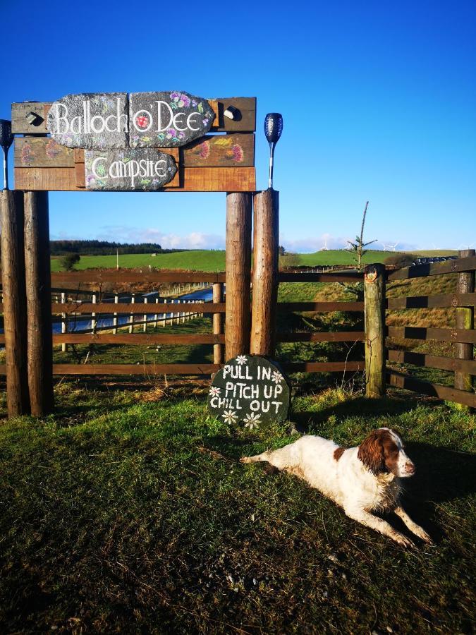 Bluebell Off-Grid Van นิวตันสจวร์ต ภายนอก รูปภาพ